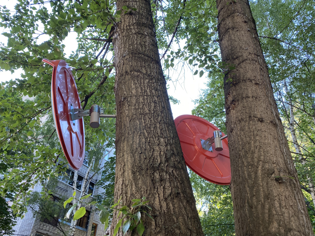 Дорожные зеркала, установленные на деревья с помощью кронштейнов для крепления, ул. Володарского, г. Ярославль