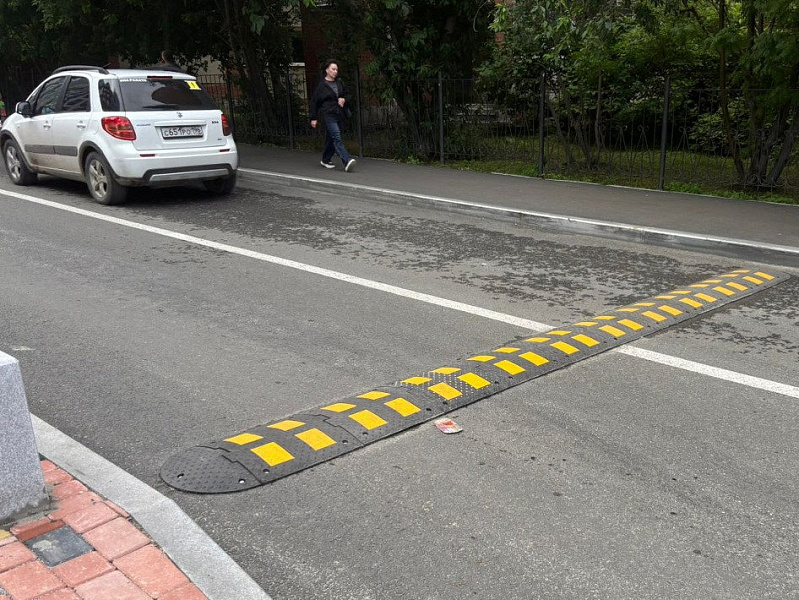 ИДН-500 из композита для регулирования скорости на дороге ИДН-500 из композита для регулирования скорости на дороге